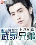 重生神雕之武家兄弟 txt
