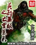 英雄无敌之亡灵暴君选书网