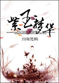 紫玉华府户型图