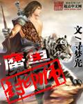 魔力宝贝封印师加点