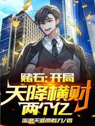 赌石开局天降横财两个亿免费版
