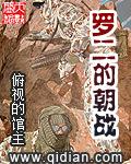 罗二的朝战337