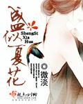 盛夏全文阅读全文女主角叫盛夏
