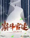 巅峰官途林志远主角
