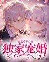 独家宠婚2