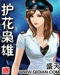 护花剑在线