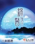 锦医夜行电视剧