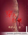 穿入红楼txt