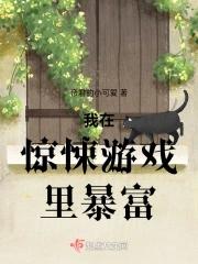 我在惊悚游戏里扌