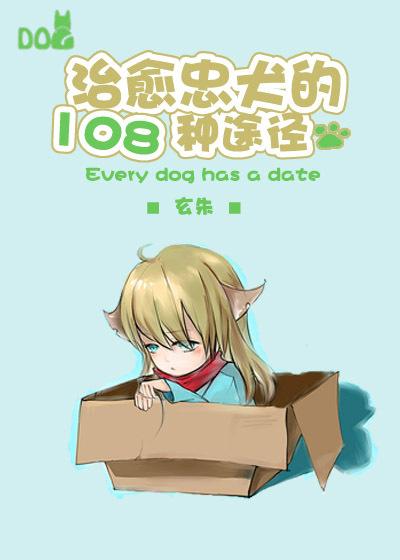治愈忠犬108种方式