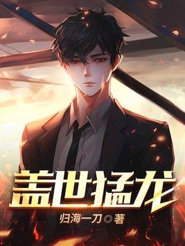 盖世猛龙刀光剑影