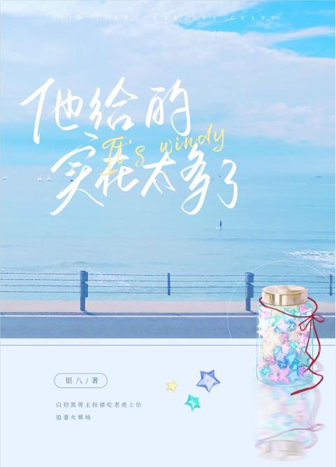 他给的实在太多了承越TXT