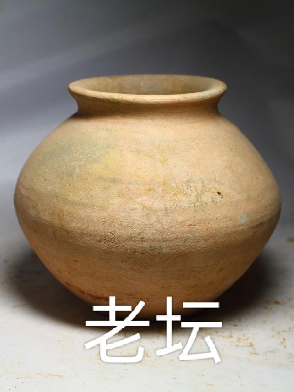 老坛酸菜用的是哪种菜