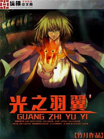 光之羽翼效果一览表