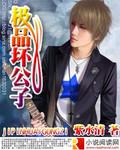 极品公子写的什么
