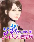 总裁大人进错房txt