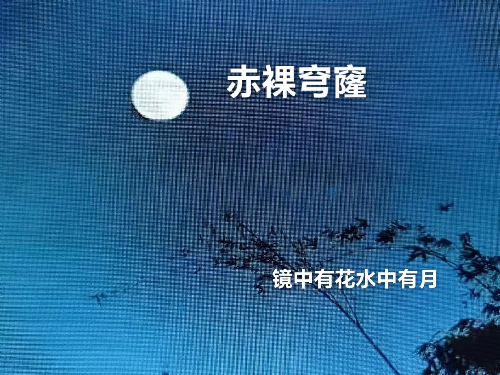 赤裸穹隆TXT