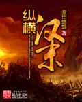 纵横汉末 第44集