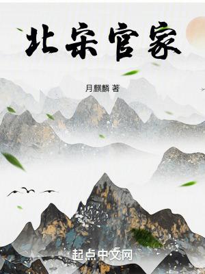 北宋官家txt百度资源