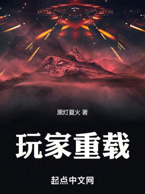 玩家重载笔趣阁正版