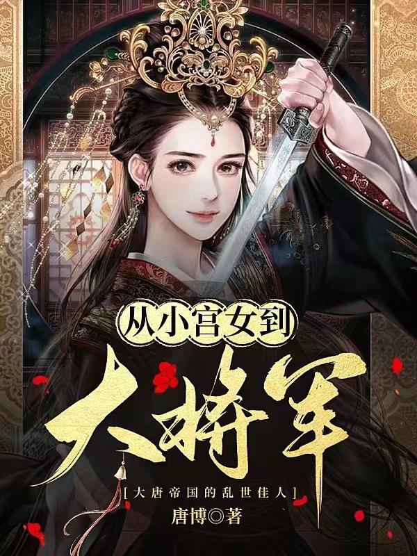 将军和小宫女