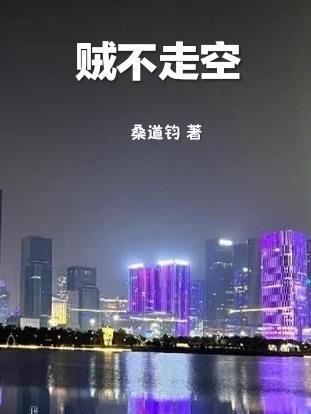 贼不走空读音