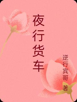 夜行货车电影播放
