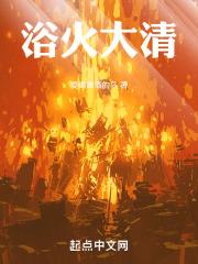 浴火大清为什么不更新了