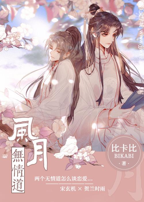 风月无情道全文番外txt百度