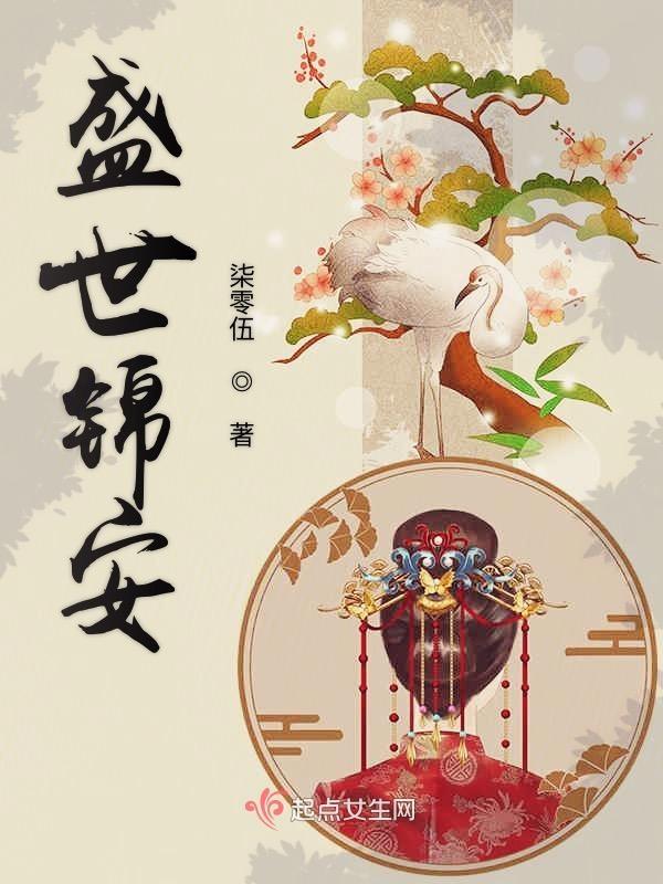 盛世锦安TXT