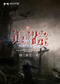 秘境追踪四