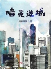 找一本叫暗夜迷情的
