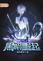 精灵之黑暗崛起TXT完整版
