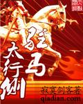 驻马太行侧电子书