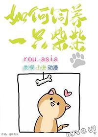 怎样养柴犬
