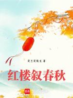 请将红楼春趣写成一篇简单的故事梗概
