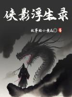 侠影仙踪演员介绍