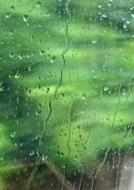 雨季二