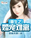 重生婚宠难离陆子野