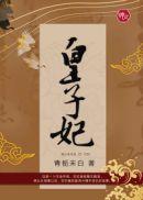 皇子妃等级