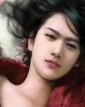 穿越三国收美人