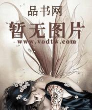 墙外的春天txt八零电子书
