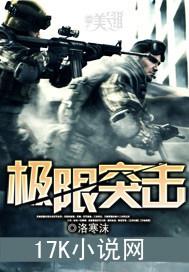 极限突击开发商