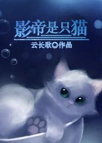 影帝是只喵咖啡不放糖全文免费阅读