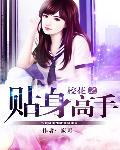 校花之贴身高手境界详细介绍最新章节列表