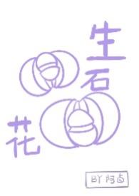 生石花红窗是什么品种