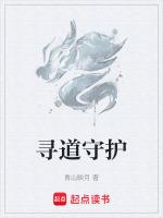 寻找守护者第二关怎么玩