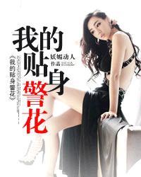 我的贴身警花康青免费读