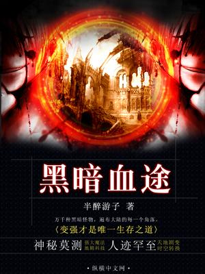 黑暗血途无错版