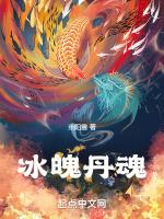 冰魂指什么